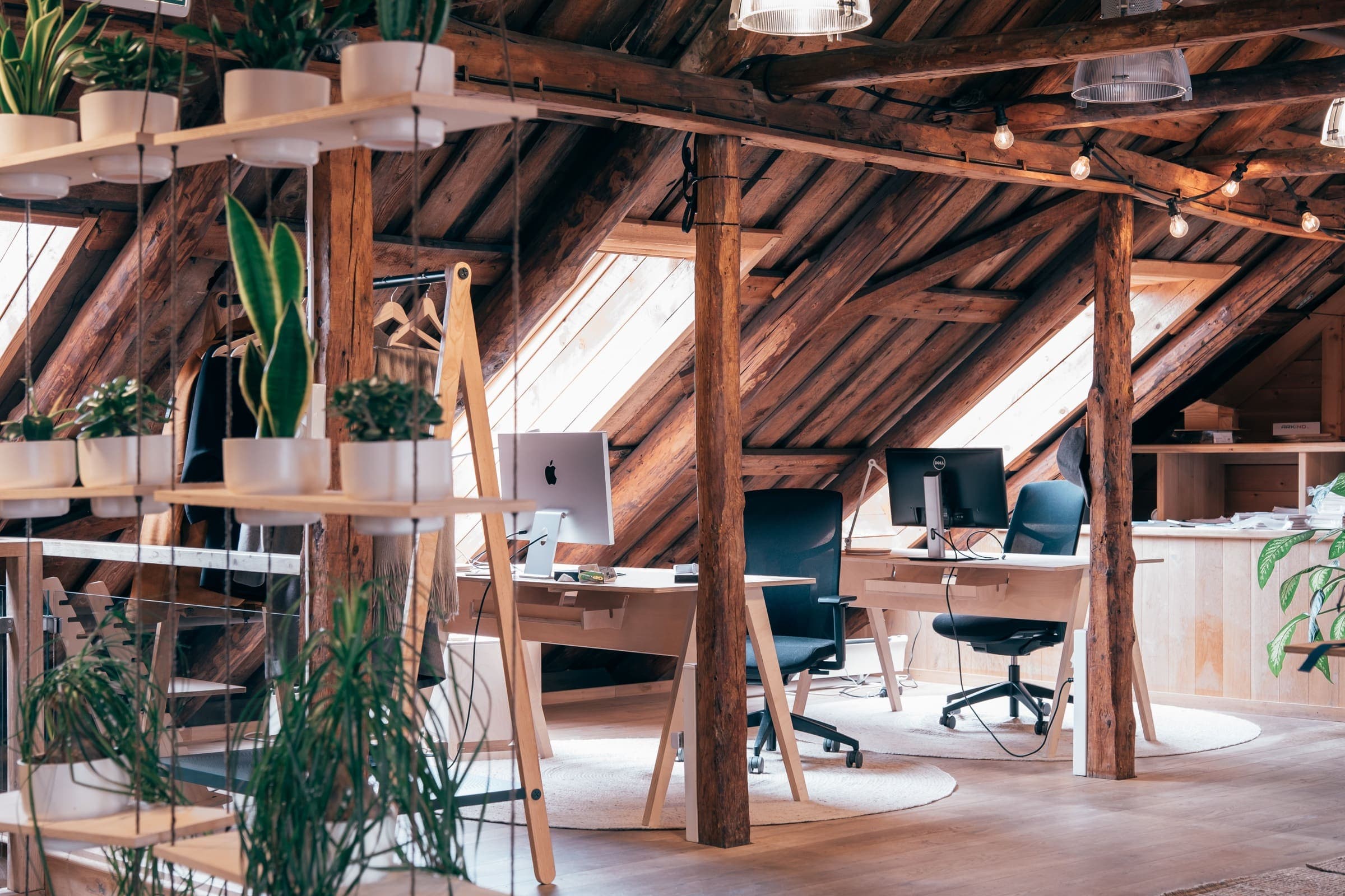 Faste arbeidsplasser med skjermer og kontorstoler under de gamle takbjelkene på loftet, omgitt av hengende plantehyller og takvinduer.